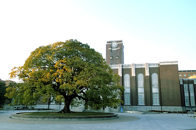 修了後の進路 / 京都大学大学院農学研究科 応用生物科学専攻の画像