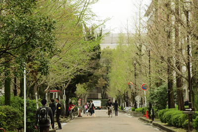 沿革 / 京都大学大学院農学研究科 応用生物科学専攻の画像