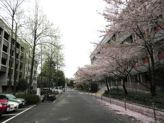 京都大学農学部学生の出身大学と出身国